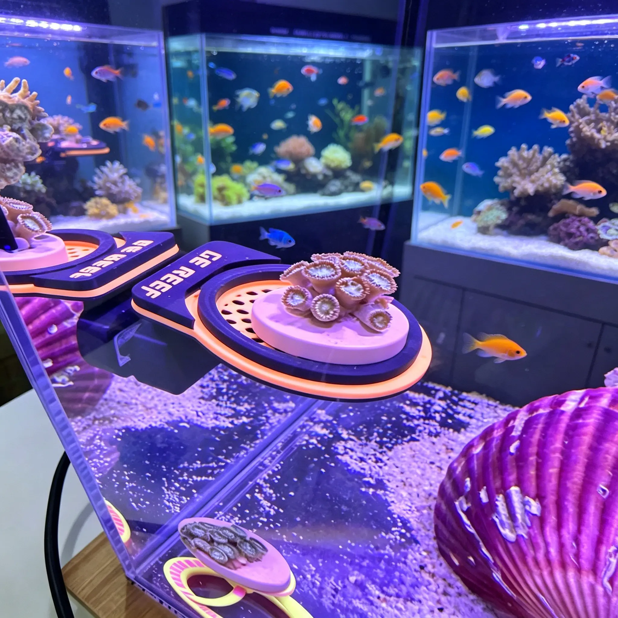 3D-Printed Coral Frag Rack, Magnetic Mount, Adjustable Positioning – For Saltwater Reef Tank Aquascaping