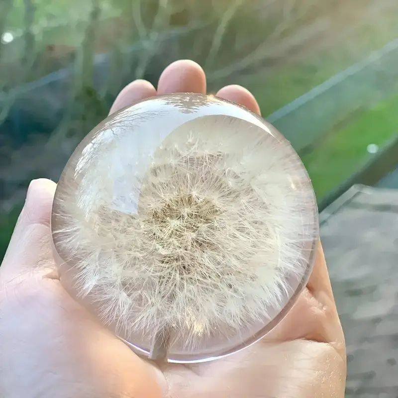 Authentic 2.76" Natural Dandelion Crystal Ball with Resin Lens, Unique Home Decor Gift Idea for Christmas, Elegant Design for Living Spaces, Home Ornament