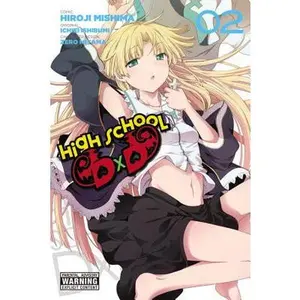 High School DXD, Vol. 2 -- Hiroji Mishima, Paperback