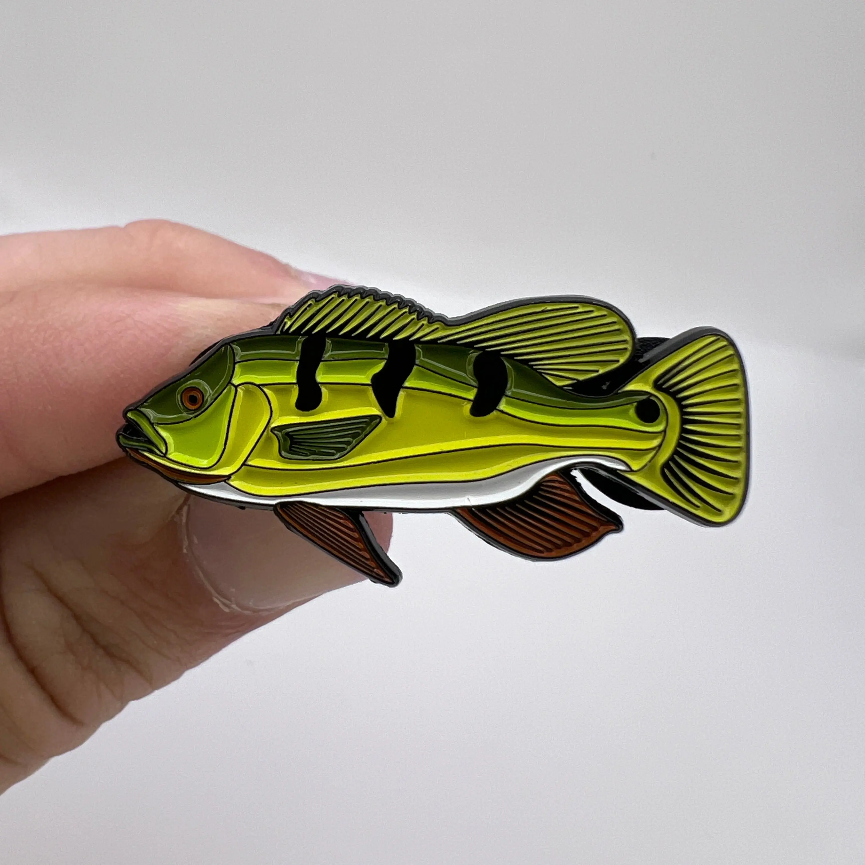 Peacock Bass - Fish Pin with Gift Box