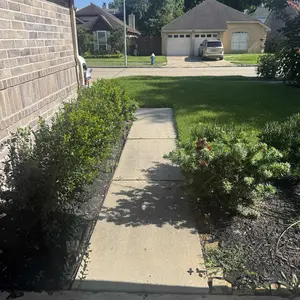 review image 7