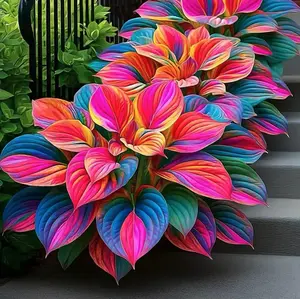 1000+ Rare Rainbow Hosta Seeds – Grow Your Own Stunning Multicolored Foliage Garden at Home