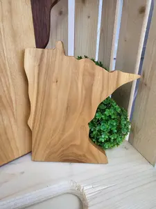 MN Coaster