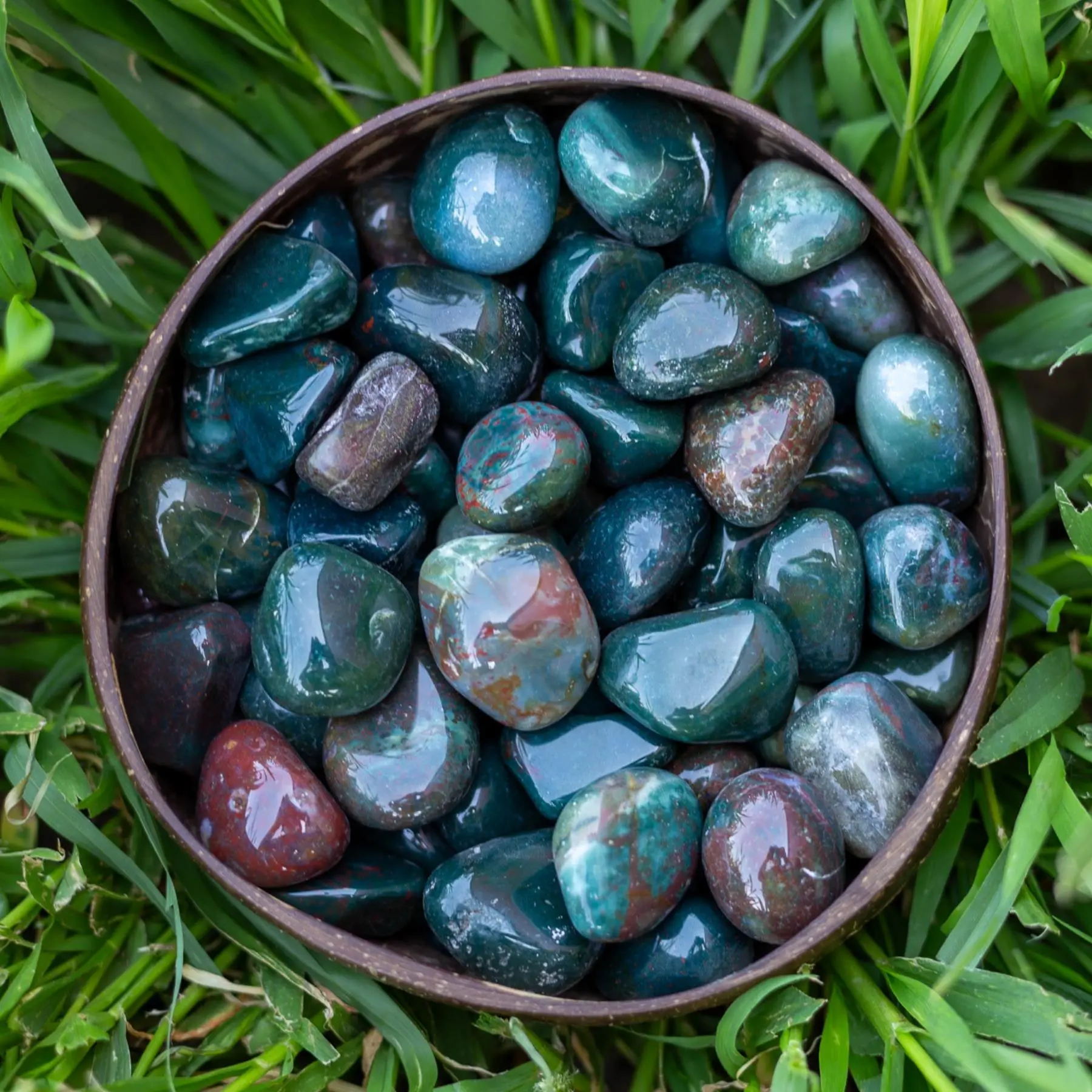 Down To Earth Bloodstone Tumbled 0.5-1.75 Polished Pieces for Grounding Protection Calming Mind Enhancing Decision Making Abilities