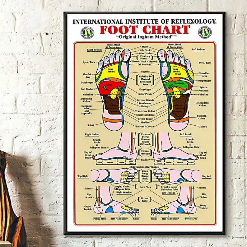 Foot Reflexology Chart by Institute of Reflexology, Gift Poster, Home Living Decor, Unique Gifts, Home Decor Poster