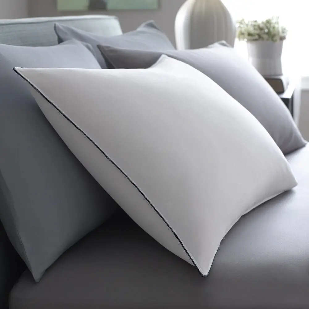 Pacific Coast Feather Best Pillow
