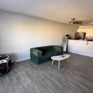 review image 6