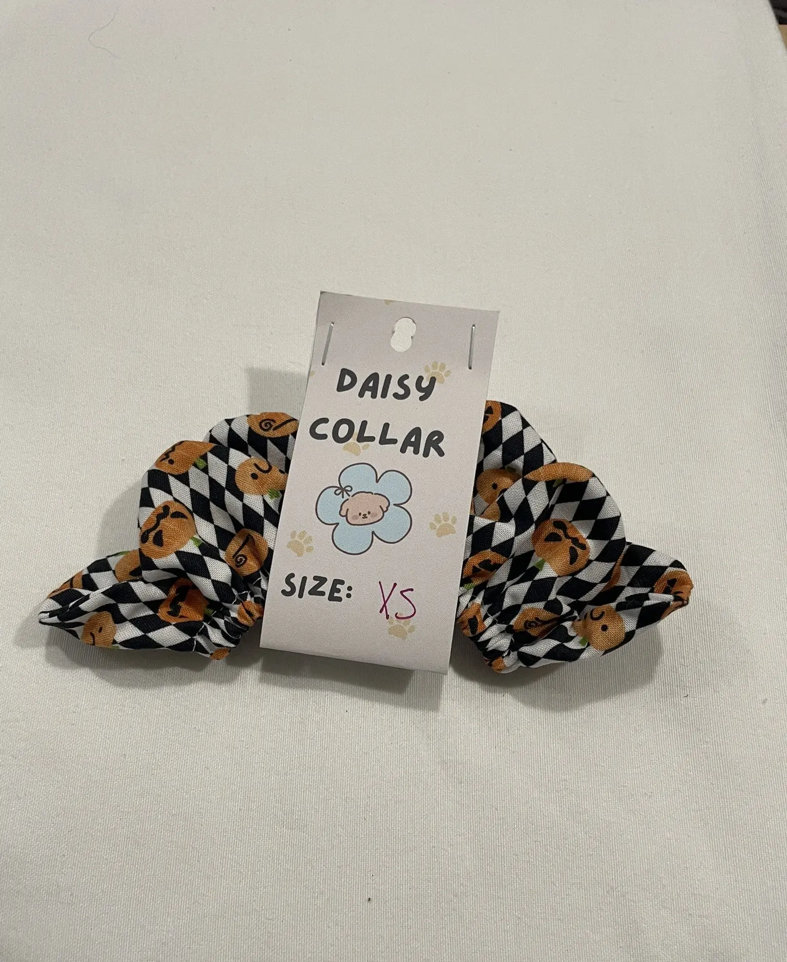 Daisy Collar - Pumpkin Jester