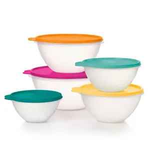 Wonderlier bowl set Tableware Classic Serving Dinnerware