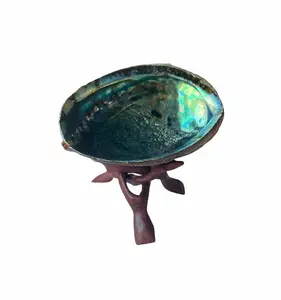 Abalone Shell | Natural Large | 6 inches | Cobra Stand | Sage | Incense | Smudging | Altar | Bowl | Decor | Gift
