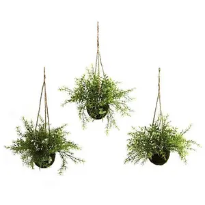 Nearly Natural Ruscus, Sedum and Springeri Hanging Basket Set of 3