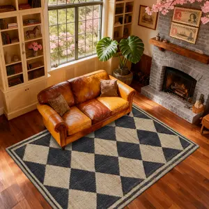 Velvet soft and comfortable patterned printed carpet, Checkered Area Rug, Living Room Rug, suitable for multiple scenarios, available in various sizes, soft and non-shedding.