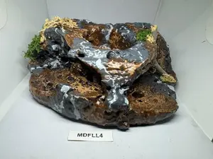 Reptile Magnetic Ledge With 5 Feeder Cups Large Desert