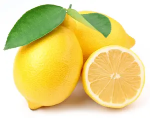 2025 New Meyer Lemon Tree - 3-5 Inch Tall  Plant - Potted Seedling - Yellow Lemon Fruit Plant