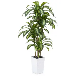 VeriNatural 5/6FT Artificial Dracaena Tree UV Resistant with Black Taper Planter for Indoor & Outdoor(VN127-H)