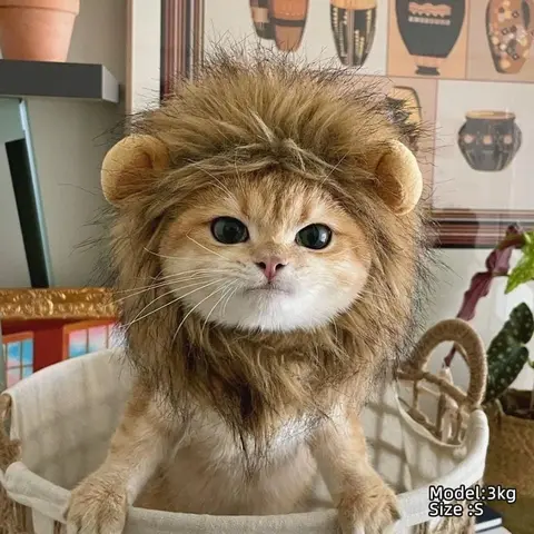 Lion Design Pet Hat, 1 Count Cute Animal Themed Headwear, Pet Accessory for Cats, Kittens