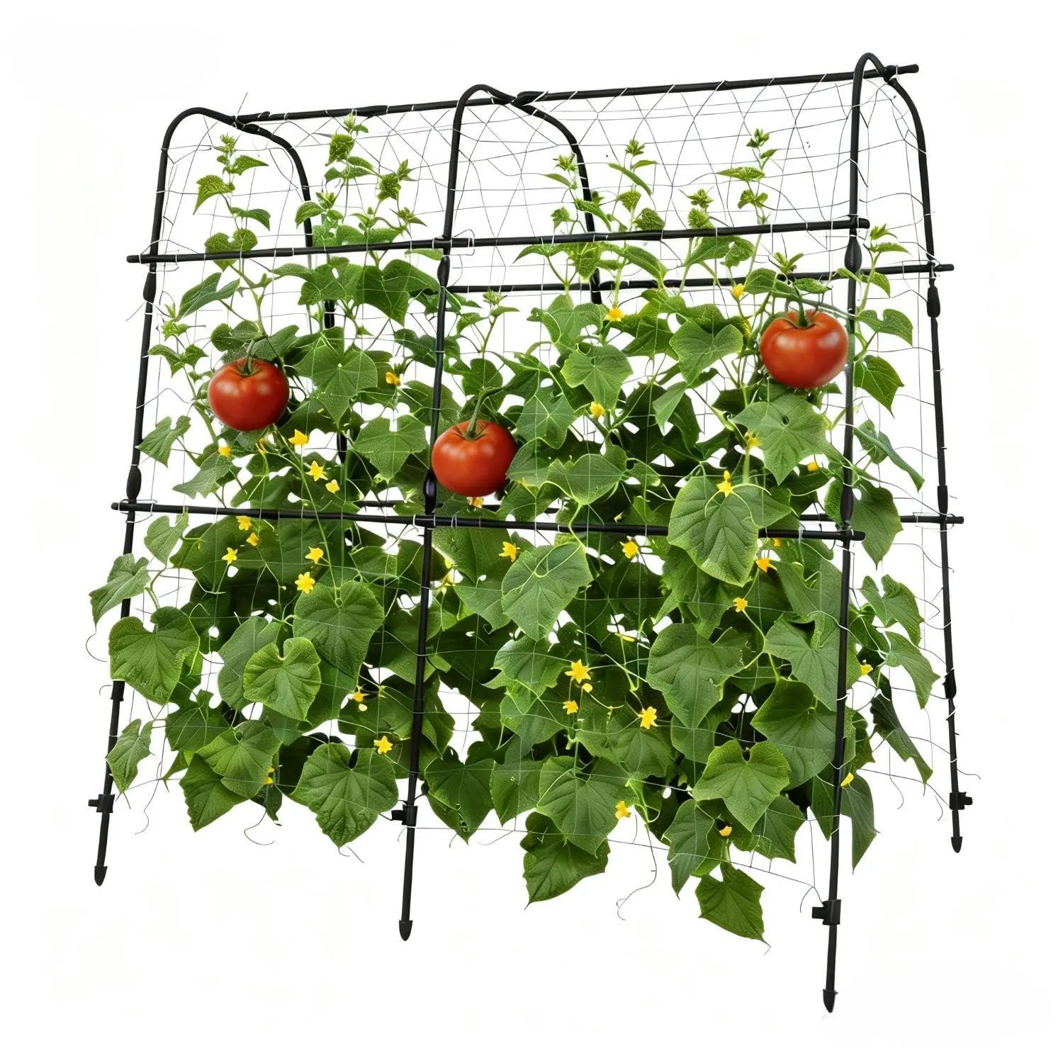 GARVEE 5.3x5.3ft U-Shape Metal Frame Outdoor Trellis, Climb Support for Climbing Plants, Vegetables, Grapes & Roses, Black Garden Arch for Raised Beds