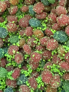 Sour Apple Coated Gushers - Bold Sour Apple Juicy Gusher Goodness Kosher Parve 7 OZ trending candy sour apple with crunchy candy bits