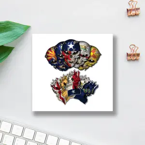 State Flag Skull Sticker Tattered Waving Flags Combo Pack Reflective Eye Skulls