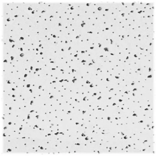 USG R2120 Radar Professional Series Ceiling Tiles, 2x2ft Square, 5/8 in Thick, 24 x 0.08 x 45 in, Pack of 16, Shadow Line, 2 Ft. X 2 Ft. X 5/8 In