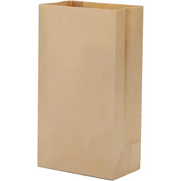 40 Count Brown Grocery Lunch Bag Kraft Paper Bags 4 lb Capacity