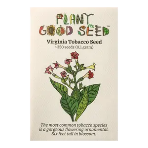 Virginia Nicotiana Seeds for Planting (Tabacum species): Pink Trumpet Blossoms, Hot Weather Flower, Thick Burley Leaves: