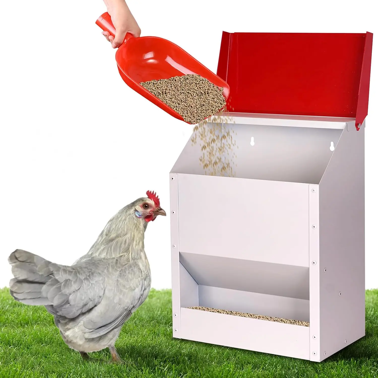 Galvanized Metallic Wall-Mount Automatic Feeder for Seasoned Poultry Enthusiasts, 10lbs No-Waste Space-Saving Hanging Feeding Trough with Lid, Weatherproof Outdoor Coop Food Dispenser