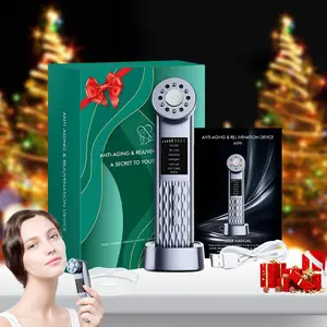Ultrasonic Ice Point Beauty Instrument, Hot & Cold Facial Massage Instrument, Essence Introduction Instrument, Photonic Skin Rejuvenation Instrument