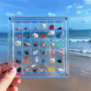 36-grid Clear Shell Display Box, Magnetic Shell Storage Box, Transparent Storage Box for Shell, Home Decor, Gift for Collectors, Organiser, Multi Grids Organizer