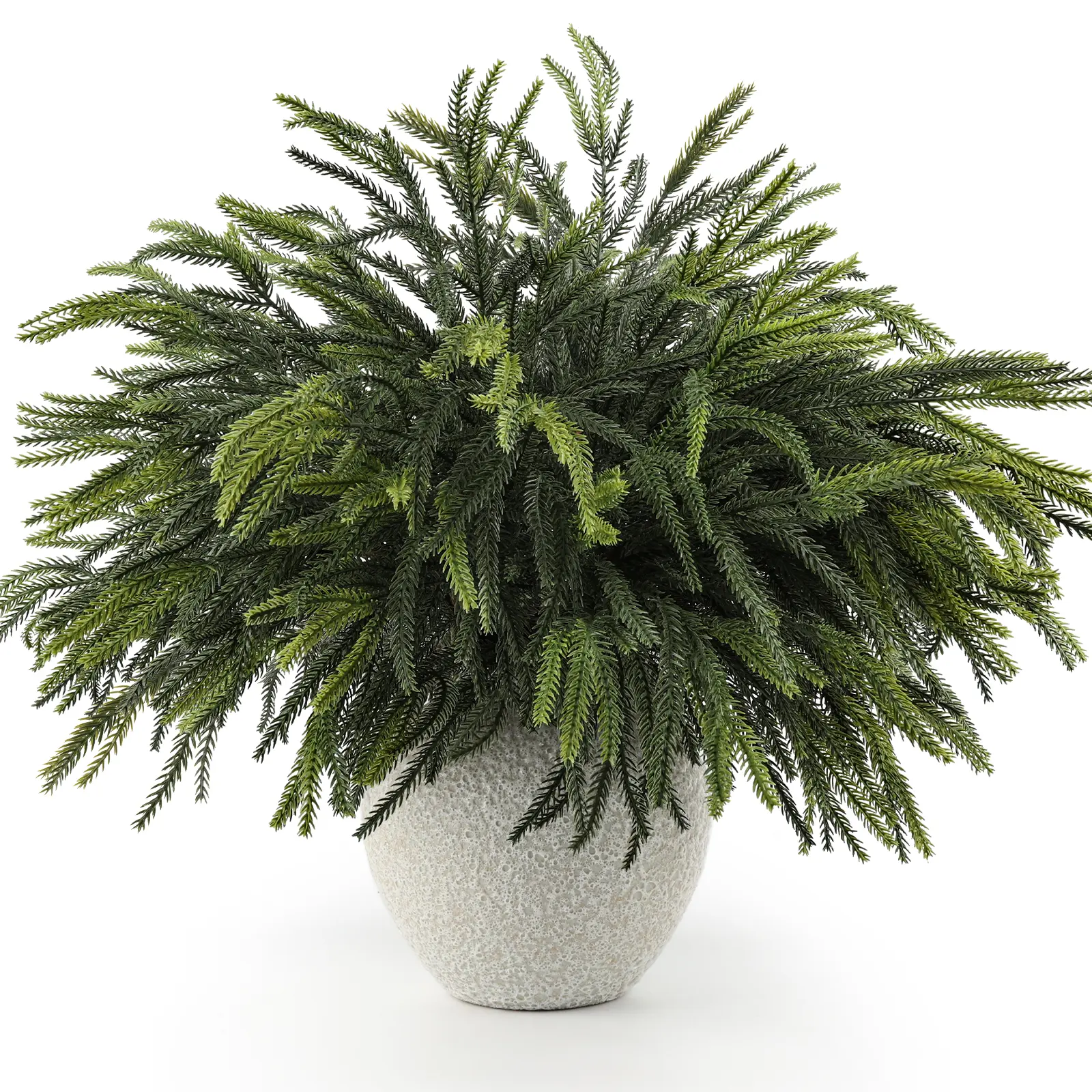 HIAGROW 12 PCS 24-Inch Real Touch Norfolk Pine Branches, Artificial Evergreen Stems Faux Greenery for Wreath, Garland, Vase, DIY Crafts, Indoor Outdoor Christmas Holiday Decor