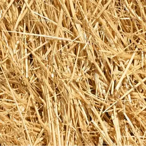 4 Pounds Natural Wheat Straw for Animal Bedding, Garden Mulch, Compost & Fertilizer, and Grass Cover