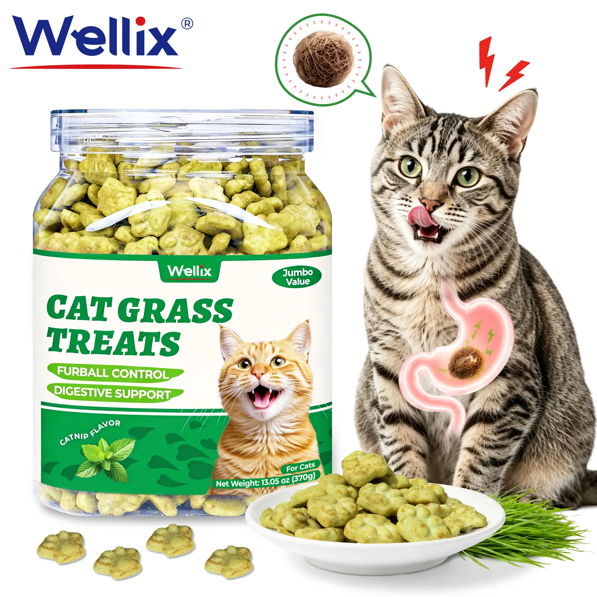 Wellix Cat Treats for Indoor Cats Hairball Control Natural Salmon Healthy Cat Grass Treats Kitten Snacks Training Biscuits Catnip for Cats Dental Care 3.1/13oz,#sohochic