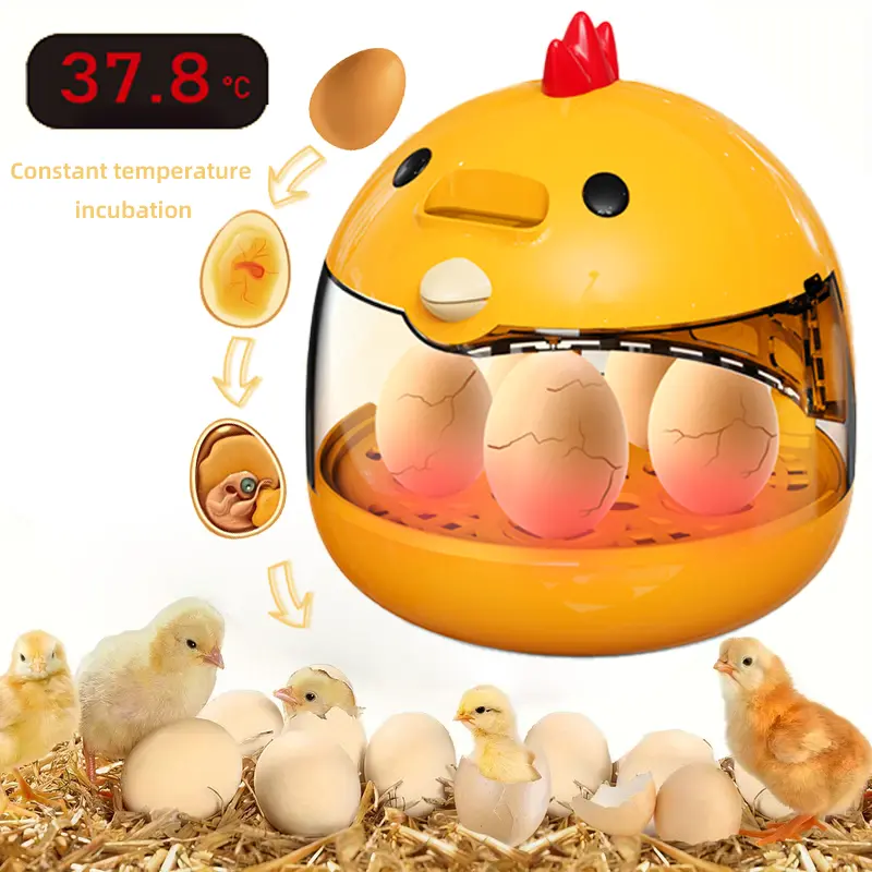 1PC  Smart Egg Incubator for Poultry Chicken Duck Birds - Digital Thermostat Control, High Hatch Rate, Auto-Turning, Humidity Monitor, Home Use, 5 Eggs Capacity