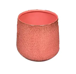 Bella 3 Mini Flowering Ginger (Berry) Planter - Metal, Miniature Design for Versatile Gardening Use