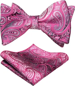 Mens 2Pcs UNTIED Gradient Paisley Self Bow Tie and Hanky Set No Brand