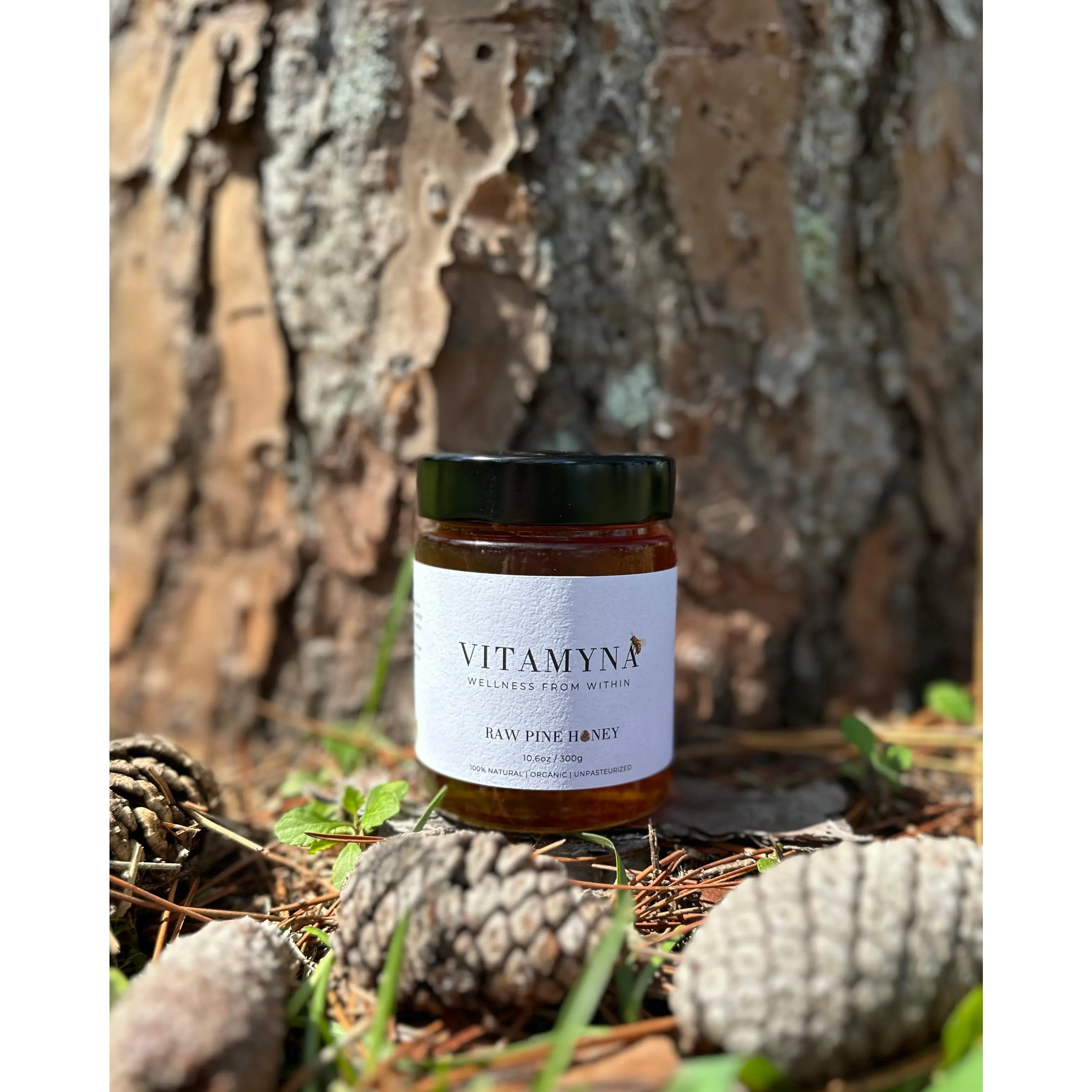VITAMYNA Organic Grade A Raw Pine Honey