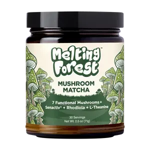 Melting Forest Functional Mushroom Matcha – 7-Mushroom Blend + Adaptogens | Focus Energy & Clarity | Zero Sugar | 30 Servings
