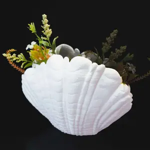 Clam Shell Planter. Great for Succulents & Herbs.