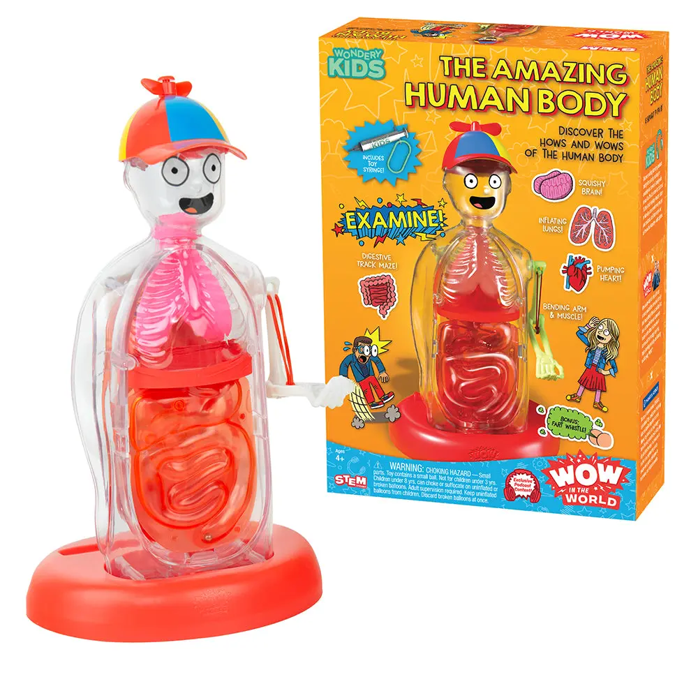Wow in the World: The Amazing Human Body,   Interactive Mechanical Anatomy Model, Science for Ages 4+