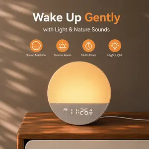 Dreamegg Sunrise Alarm Clock & Sound Machine - Home Decor, Aesthetic Home Decor Wake Up Light, White Noise Device & Night Light