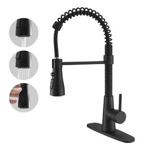 BESy Kitchen Faucet with Pull Down Sprayer, High-Arc Single Handle Single Lever Spring Rv Kitchen Sink Faucet with Pull Out Sprayer, 3 Function Laundry Faucet with Cover Plate, Matte Black