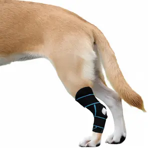 Dog Knee Brace for Back Leg, ACL Support for Large Dogs, Adjustable Dog Leg Brace for Hind Leg Injuries, Canine Joint Wrap for Arthritis Recovery