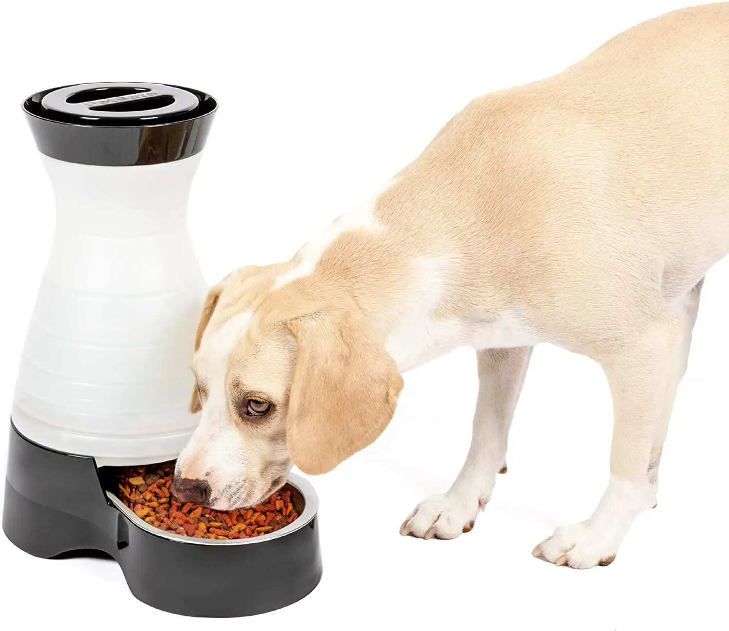 Petsafe Healthy Pet Food Station - Medium, 4 Lb Kibble Capacity - Gravity Pet Feeder Dry Food Dispenser, Automatic Cat Feeder, Small to Medium Dog Feeder - Removable Stainless Steel Bowl Included Radio Systems Corporation