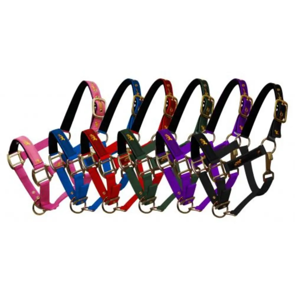 Nylon Pony Halter with Gold Horse Emblem on Noseband