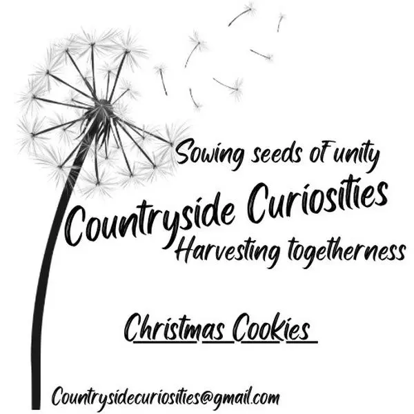 Festive Christmas Cookies Candles for Home Decor and Ornaments Aroma Scent Decoration Perfume Scented Freshener Cozy