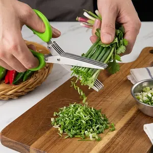 Multifunctional 5-Blade Kitchen Herb Scissors Stainless Steel Multi-Layer Shears For Herbs Vegetables