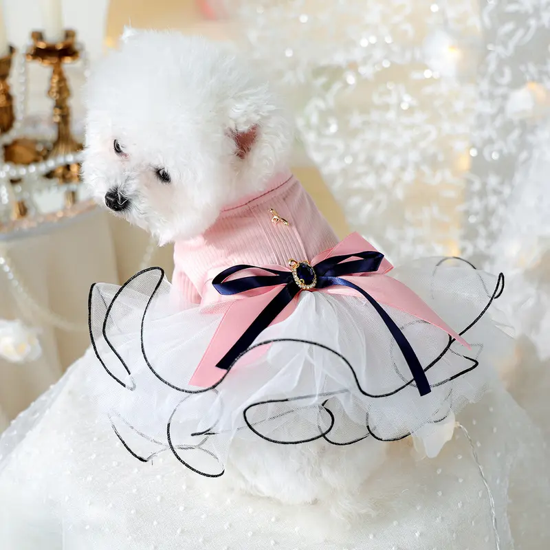 cute dog clothes for small dogs - TikTok Shop