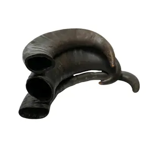 2 PK Water Buffalo Horn Chews