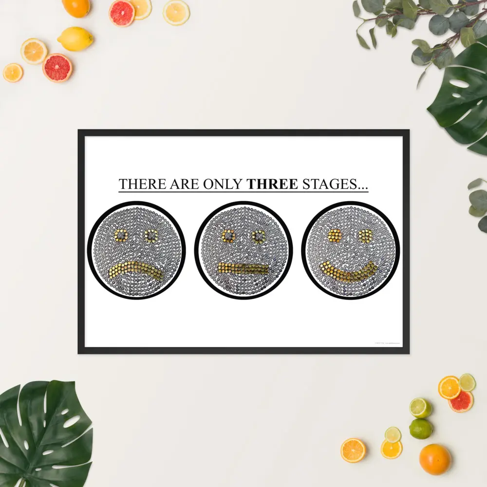 The Three Stages / White Background / Framed poster