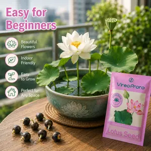 60-Piece Bowl Lotus Seeds Flower Seed Pack, High-Quality Ornamental Open-Mouth Variety, Easy-to-Plant All-Season Seeds for Ponds & Home Garden Supplies